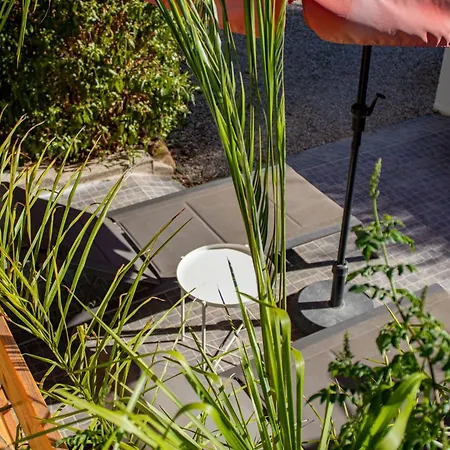 Farm Olive, Casa Jacaranda Moncarapacho